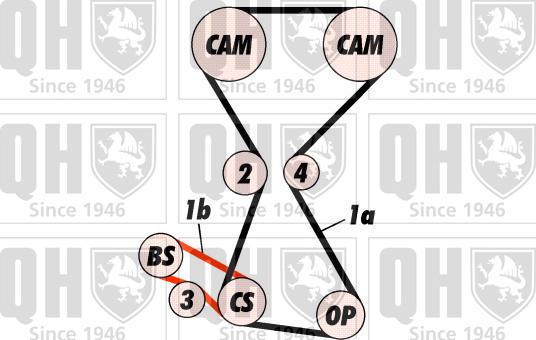 Quinton Hazell QBK423 - Zobsiksnas komplekts autodraugiem.lv