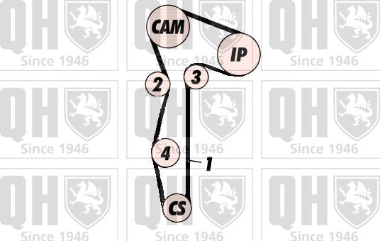 Quinton Hazell QBK639 - Zobsiksnas komplekts autodraugiem.lv