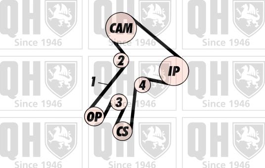 Quinton Hazell QBK213 - Zobsiksnas komplekts autodraugiem.lv