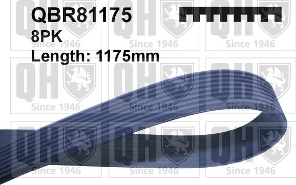 Quinton Hazell QBR81175 - Ķīļrievu siksna autodraugiem.lv