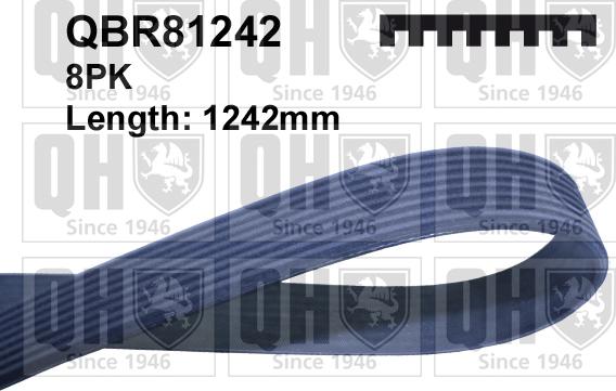 Quinton Hazell QBR81242 - Ķīļrievu siksna autodraugiem.lv