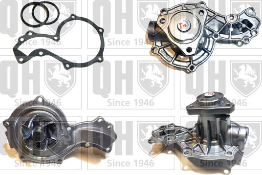 Quinton Hazell QCP952 - Ūdenssūknis autodraugiem.lv