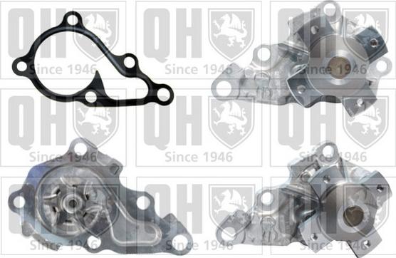Quinton Hazell QCP3698 - Ūdenssūknis autodraugiem.lv