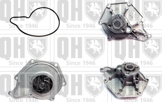 Quinton Hazell QCP3650 - Ūdenssūknis autodraugiem.lv