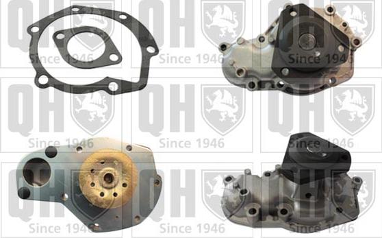 Quinton Hazell QCP3138 - Ūdenssūknis autodraugiem.lv