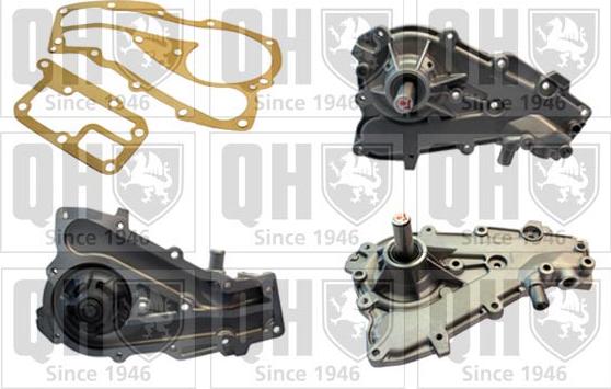 Quinton Hazell QCP3305 - Ūdenssūknis autodraugiem.lv