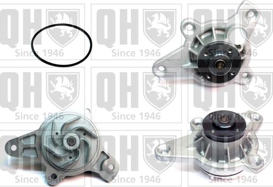 Quinton Hazell QCP3769 - Ūdenssūknis autodraugiem.lv