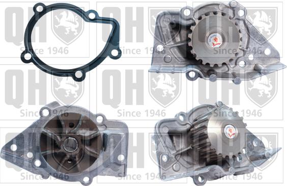Quinton Hazell QCP2944 - Ūdenssūknis autodraugiem.lv
