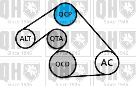 Quinton Hazell QDK121 - Ķīļrievu siksnu komplekts autodraugiem.lv