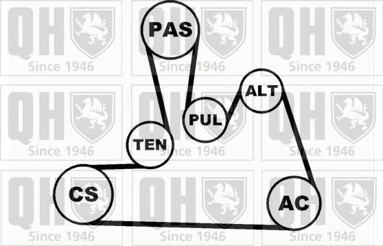 Quinton Hazell QDK31 - Ķīļrievu siksnu komplekts autodraugiem.lv