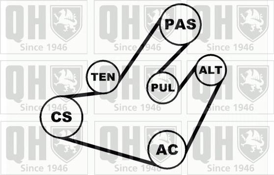 Quinton Hazell QDK31 - Ķīļrievu siksnu komplekts autodraugiem.lv