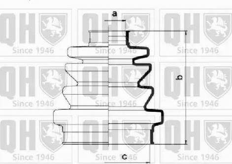 Quinton Hazell QJB1035 - Putekļusargs, Piedziņas vārpsta autodraugiem.lv