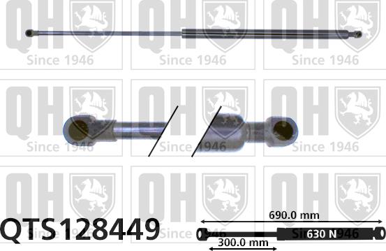 Quinton Hazell QTS128449 - Gāzes atspere, Bagāžas / Kravas nodalījuma vāks autodraugiem.lv