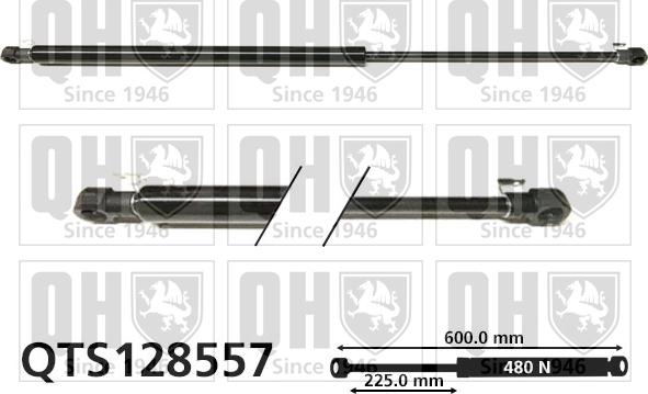 Quinton Hazell QTS128557 - Gāzes atspere, Bagāžas / Kravas nodalījuma vāks autodraugiem.lv