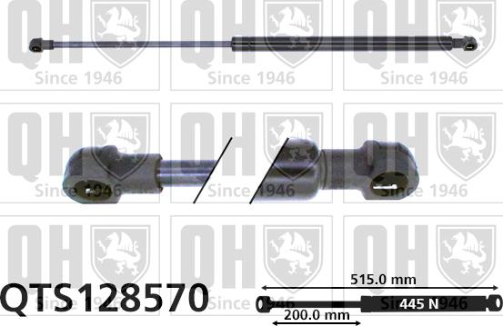 Quinton Hazell QTS128570 - Gāzes atspere, Bagāžas / Kravas nodalījuma vāks autodraugiem.lv