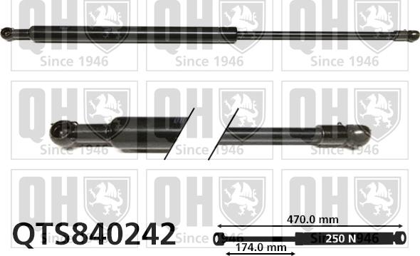 Quinton Hazell QTS840242 - Gāzes atspere, Bagāžas / Kravas nodalījuma vāks autodraugiem.lv