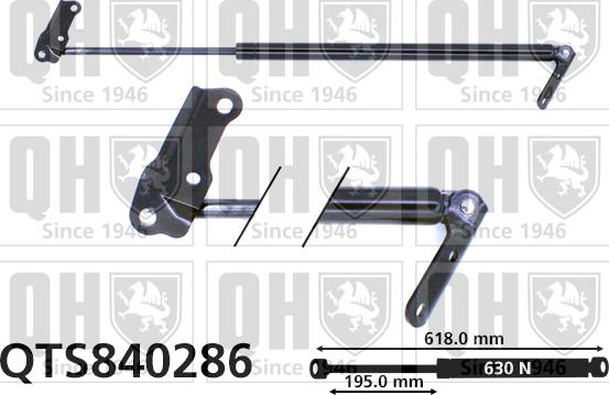 Quinton Hazell QTS840286 - Gāzes atspere, Bagāžas / Kravas nodalījuma vāks autodraugiem.lv