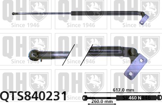 Quinton Hazell QTS840231 - Gāzes atspere, Bagāžas / Kravas nodalījuma vāks autodraugiem.lv