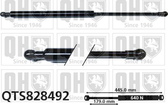 Quinton Hazell QTS828492 - Gāzes atspere, Bagāžas / Kravas nodalījuma vāks autodraugiem.lv