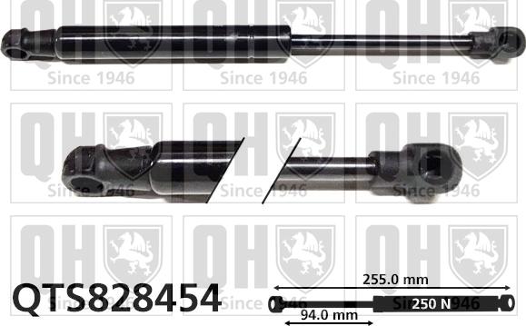 Quinton Hazell QTS828454 - Gāzes atspere, Motora pārsegs autodraugiem.lv