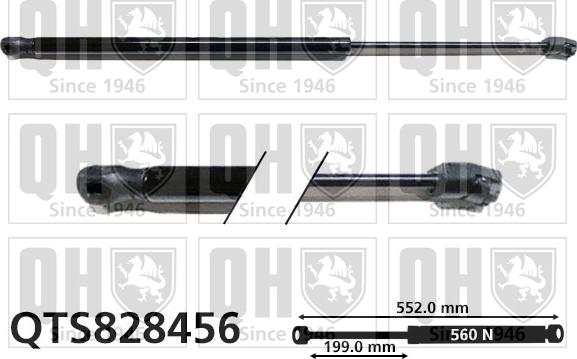 Quinton Hazell QTS828456 - Gāzes atspere, Bagāžas / Kravas nodalījuma vāks autodraugiem.lv
