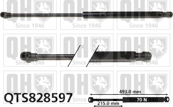 Quinton Hazell QTS828597 - Gāzes atspere, Bagāžas / Kravas nodalījuma vāks autodraugiem.lv