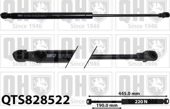 Quinton Hazell QTS828522 - Gāzes atspere, Aizmugurējais stikls autodraugiem.lv