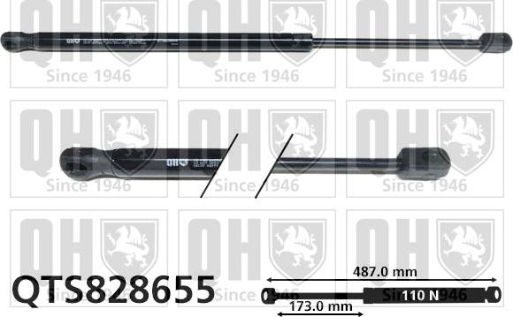 Quinton Hazell QTS828655 - Gāzes atspere, Bagāžas / Kravas nodalījuma vāks autodraugiem.lv