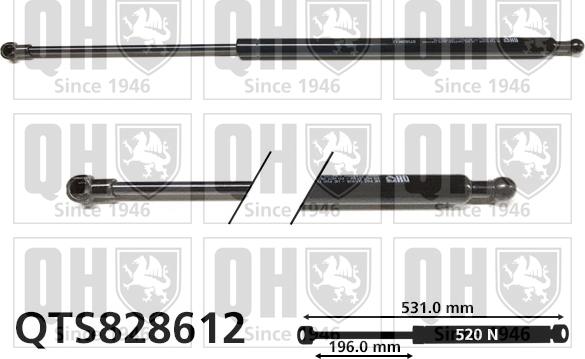 Quinton Hazell QTS828611 - Gāzes atspere, Bagāžas / Kravas nodalījuma vāks autodraugiem.lv