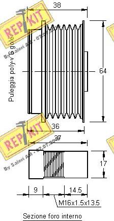 REPKIT RKT3172 - Piedziņas skriemelis, Ģenerators autodraugiem.lv