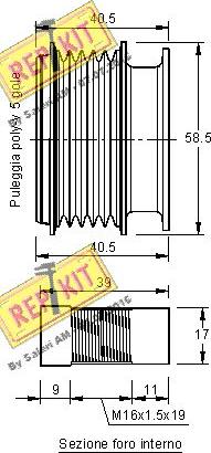 REPKIT RKT2961 - Piedziņas skriemelis, Ģenerators autodraugiem.lv