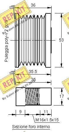 REPKIT RKT2929 - Piedziņas skriemelis, Ģenerators autodraugiem.lv