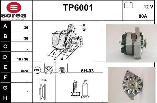 Sera TP6001 - Ģenerators autodraugiem.lv