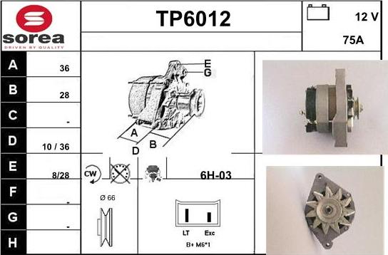 Sera TP6012 - Ģenerators autodraugiem.lv