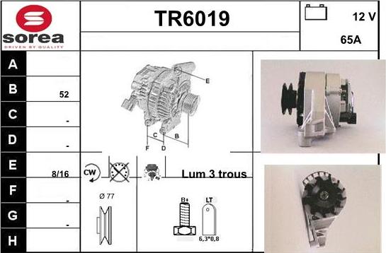 Sera TR6019 - Ģenerators autodraugiem.lv