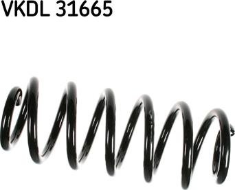 SKF VKDL 31665 - Balstiekārtas atspere autodraugiem.lv
