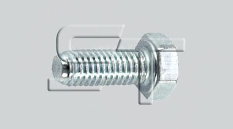 ST-Templin 03.070.2065.000 - Skrūve autodraugiem.lv