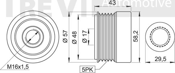 Trevi Automotive AP1125 - Piedziņas skriemelis, Ģenerators autodraugiem.lv