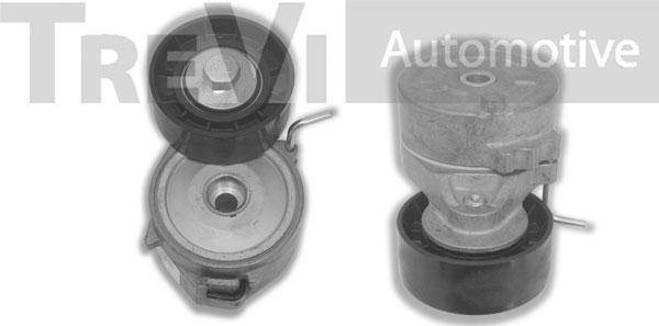 Trevi Automotive TA2162 - Siksnas spriegotājs, Ķīļsiksna autodraugiem.lv