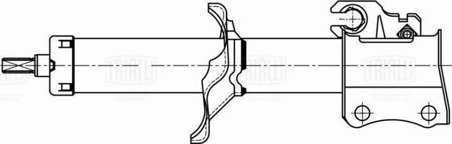 Trialli AG 25164 - Amortizators autodraugiem.lv