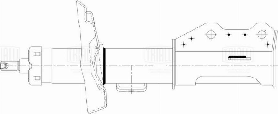 Trialli AG 21162 - Amortizators autodraugiem.lv