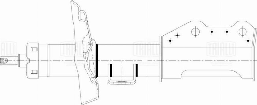 Trialli AG 21363 - Amortizators autodraugiem.lv