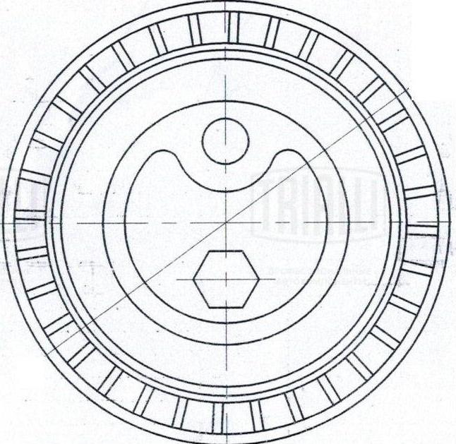 Trialli CM 5331 - Parazīt / Vadrullītis, Ķīļrievu siksna autodraugiem.lv