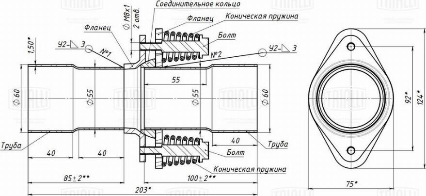 Trialli EPCD 5560 - Izplūdes caurule, Universāla autodraugiem.lv