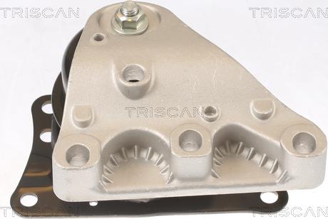 Triscan 8505 29110 - Piekare, Dzinējs autodraugiem.lv