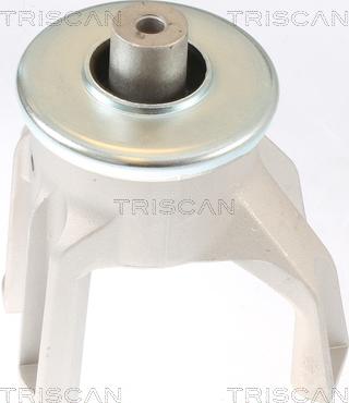 Triscan 8505 29187 - Piekare, Dzinējs autodraugiem.lv