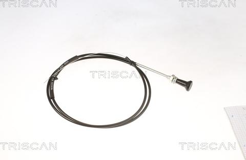 Triscan 8140 91002 - Gaisa vārsta vārpsta, Karburators autodraugiem.lv