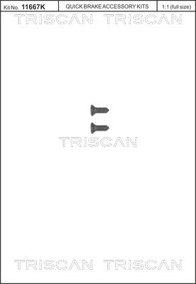 Triscan 8105 116008 - Skrūvju komplekts, Bremžu disks autodraugiem.lv
