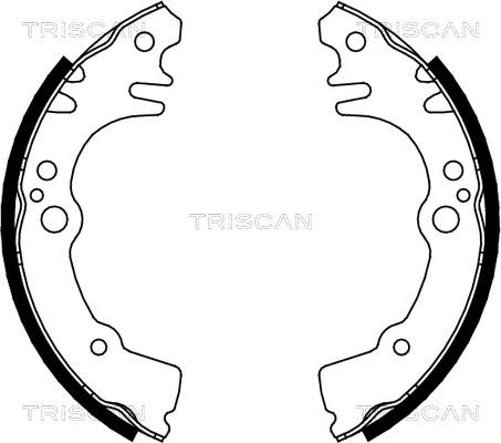 Triscan 8100 41616 - Bremžu loku komplekts autodraugiem.lv