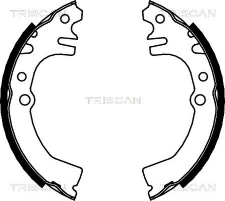Triscan 8100 41613 - Bremžu loku komplekts autodraugiem.lv
